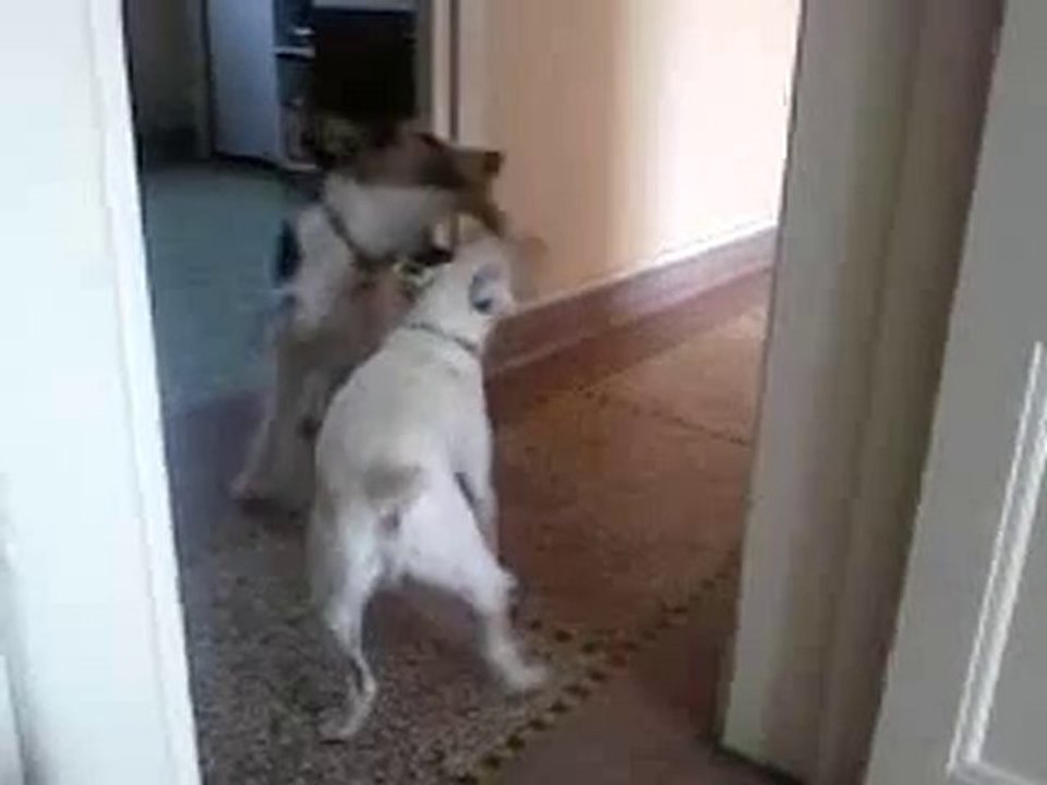 Vidéo-0001