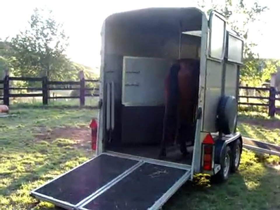 15/09/2010 1 ère séance van pour Ubellia des Merles