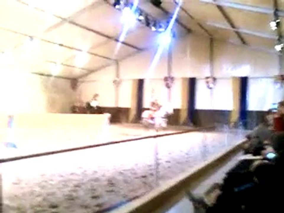 Spectacle equestre