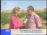 El vino de hielo en madrid directo