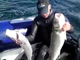 petite pêche