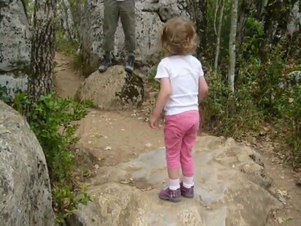 La Forêt de Païolive