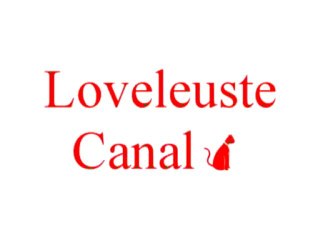 Equipe USA WCS 2010 (filmé par GreatSkaoki)