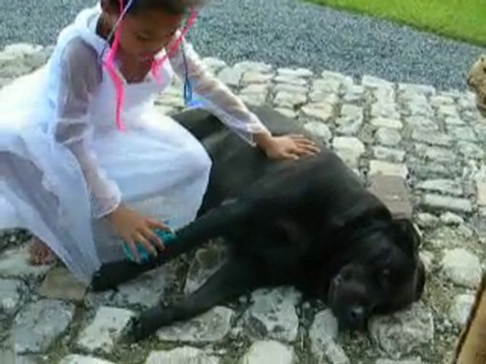 5 septembre 2010 teyssa et molly lillois nikon 077