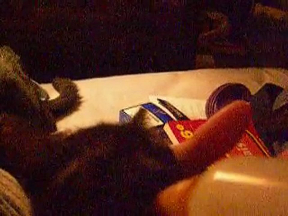 15 septembre 2010 titite et bibi nikon 087  à 3h30 du mat