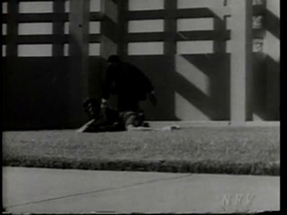 jfk assassination films-dave wiegman