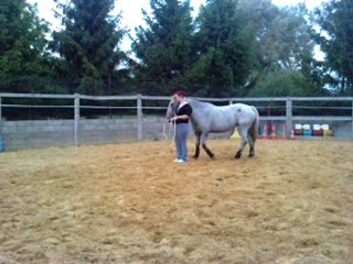 Oniris travaille ethologique N°1