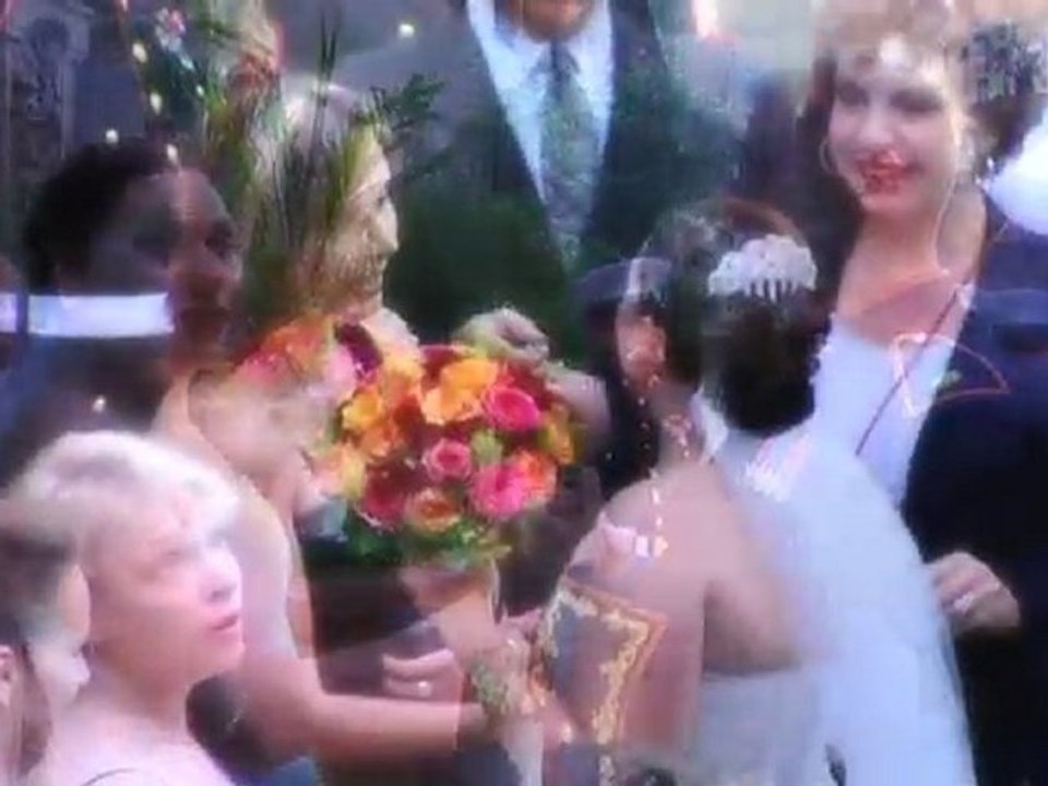 Professional Wedding Videos