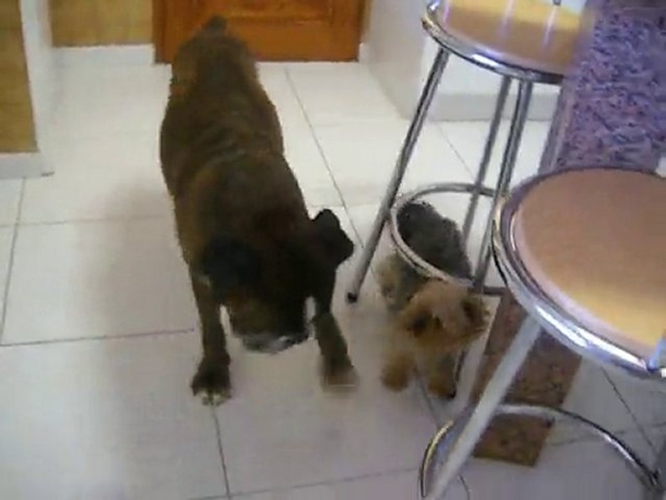 THOR ET ELIOT