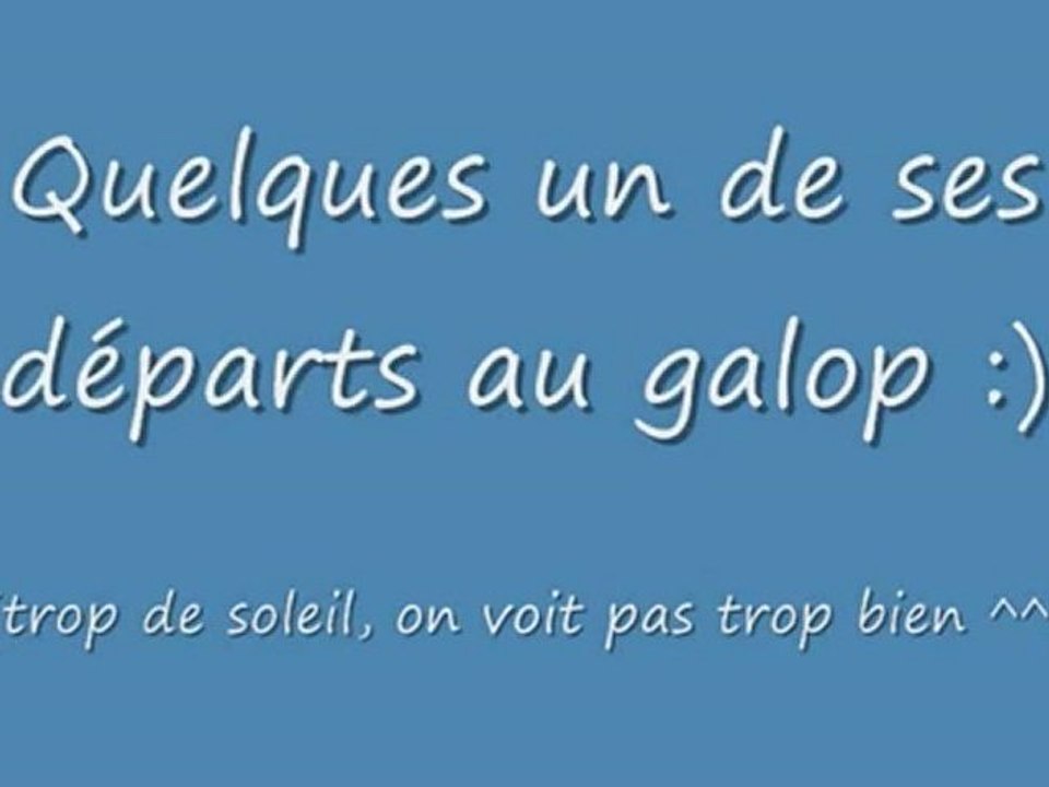 Lou' - Galops monté et mise au pré au lycée ^^