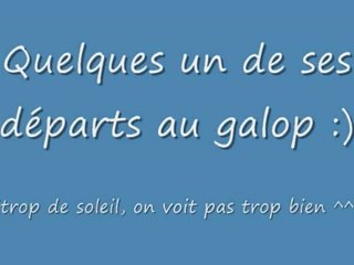 Lou' - Galops monté et mise au pré au lycée ^^