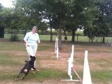 Ceylan Entlebuch Agility