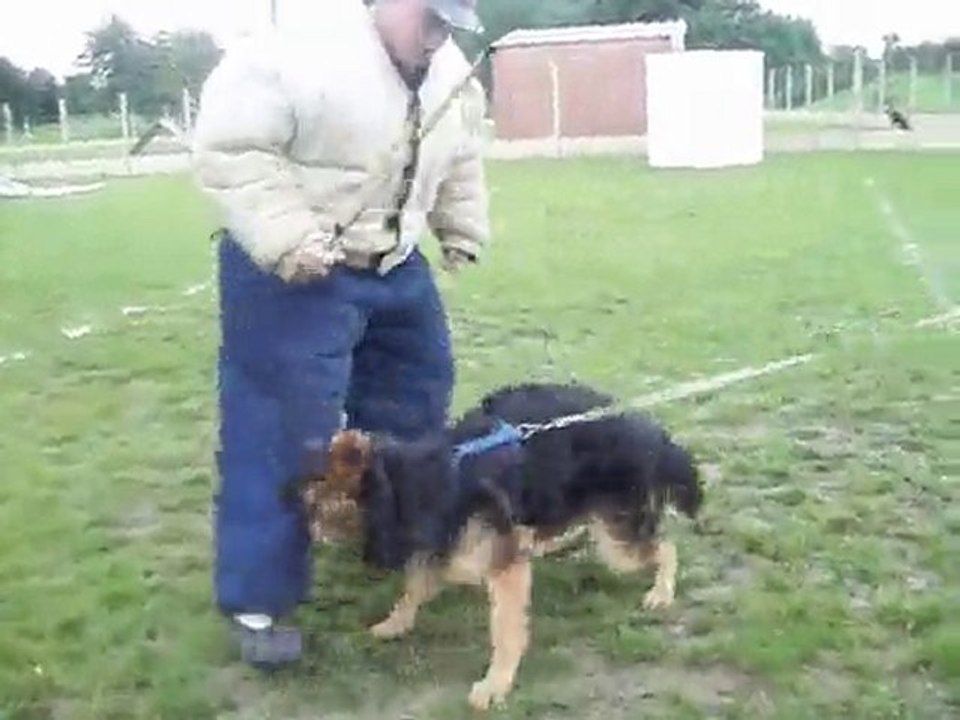 flag 1