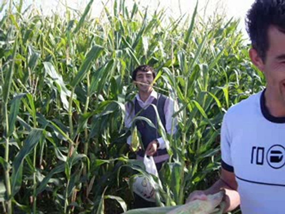 islik Kasabaının videosu