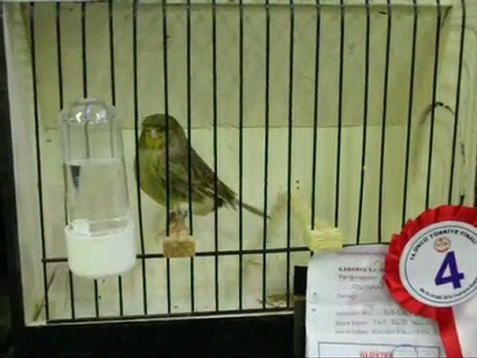 2009-2010 TÜRKiYE FiNAL | AHRAC KABAKLAR