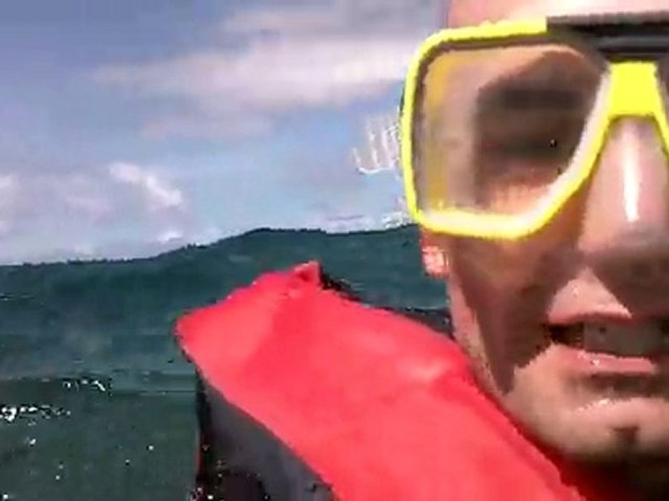 Snorkelling dans la barriere de corail