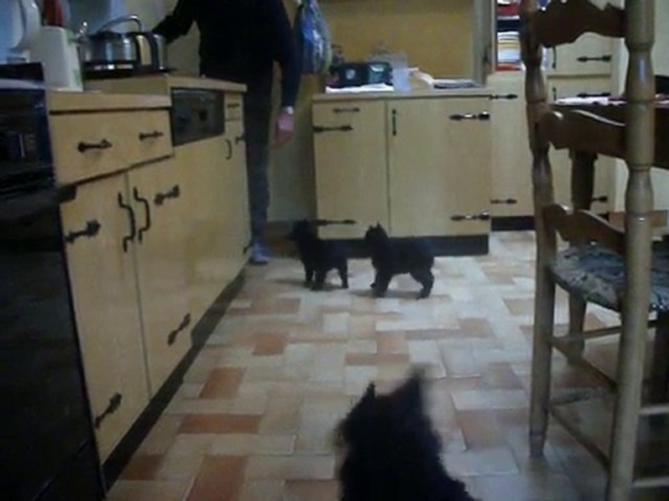 une ça va, mais trois soeurs ....