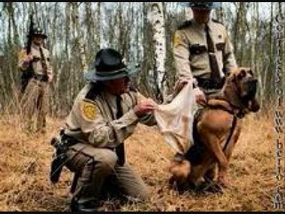 Watch A Different Spin with Mark Hoppus Pilot Episode Online