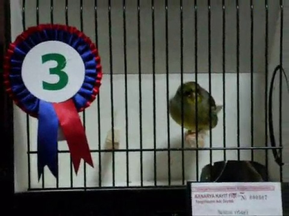 2009-2010 BALIKESiR | AHRAC KABAKLAR