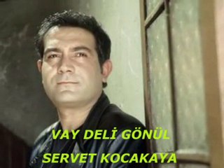 Servet Kocakaya-Vay deli gönül