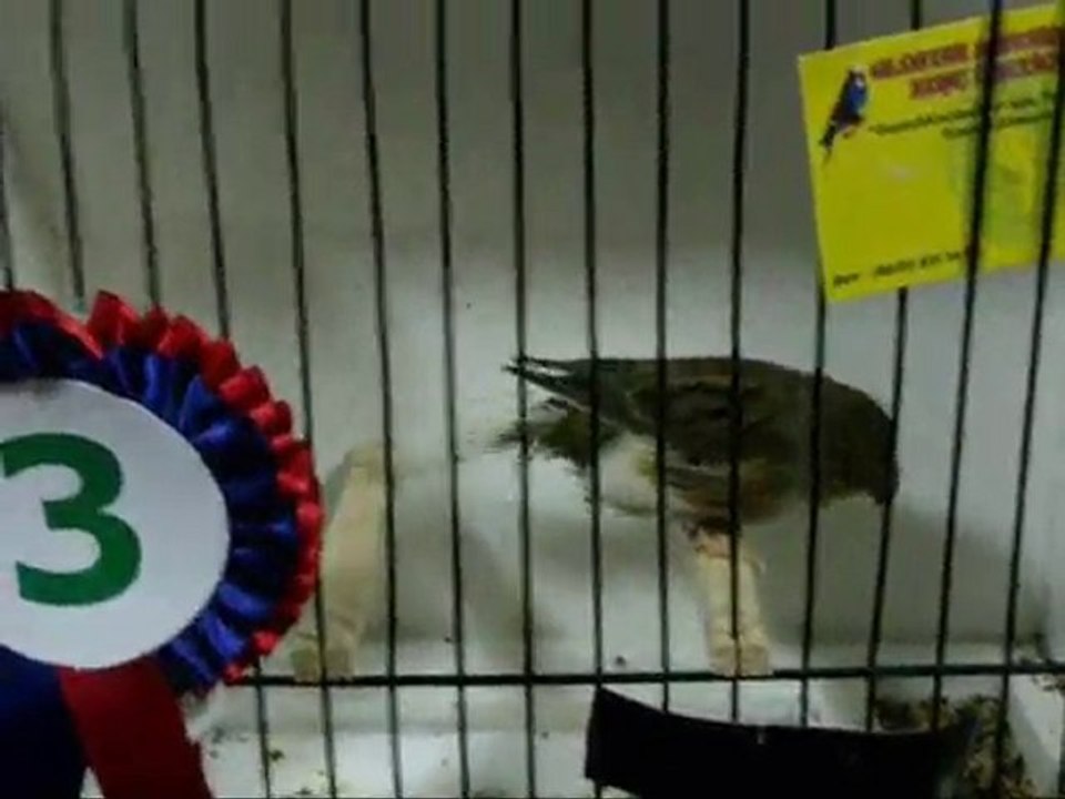 209-2010 BALIKESiR | AHRAC TEPELiLER