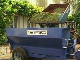 Vendange 2010 : les rendements en baisse