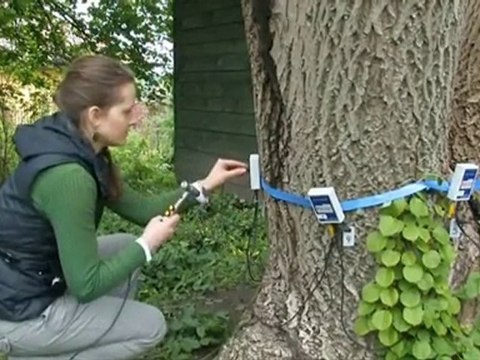 Place Zabaw Wólczkowo Gaja. Projektowanie i pielegnacja ...