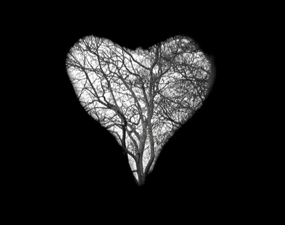 Chroniclip #2 - "Lost" (Noir Désir) - Henri-Jean Debon