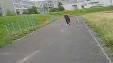 бег афганской борзой