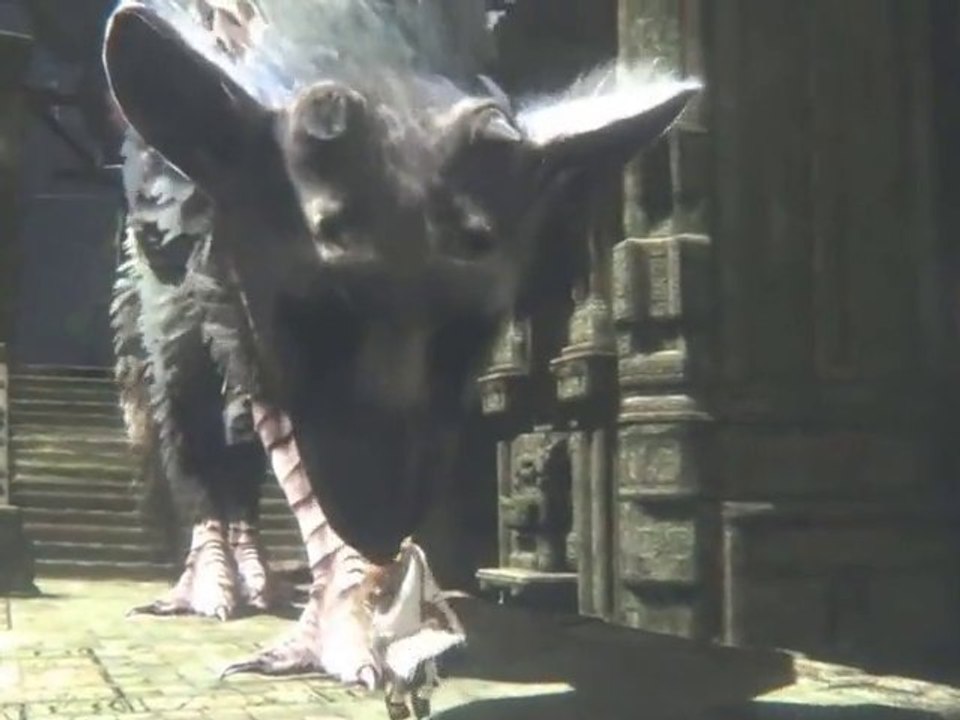 The Last Guardian : TGS 2010 Trailer