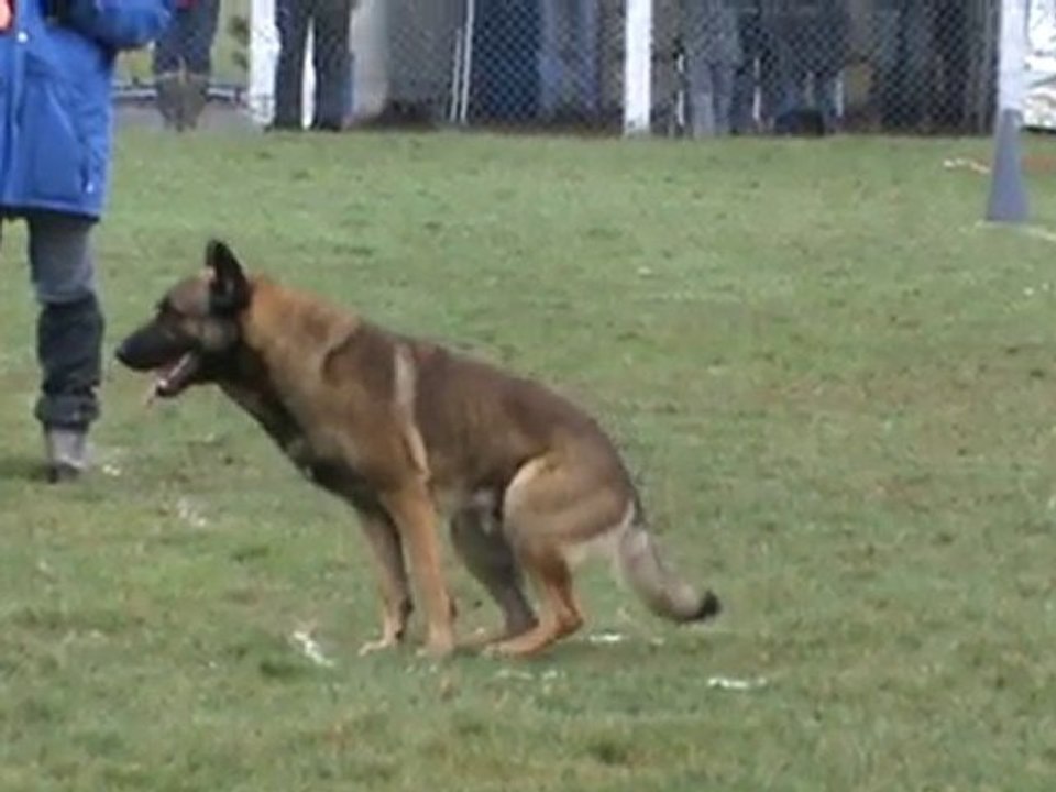exercice des "positions" de Cisco  concours Cholet fev.2010