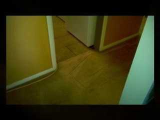 Carpet cleaning las cruces nm