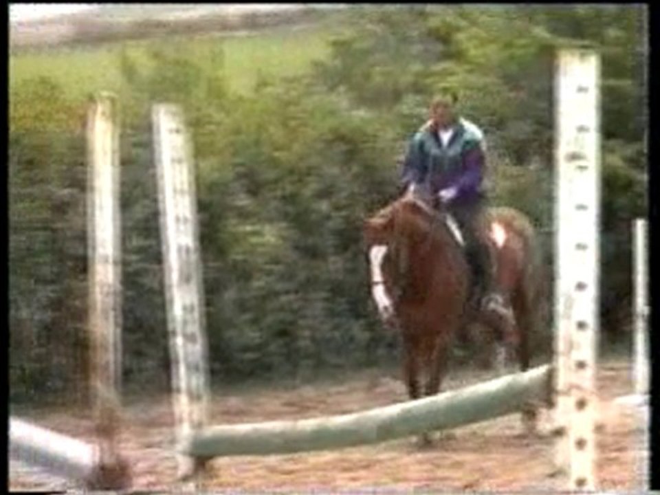 DUC..Dressage en vue de l'obstacle