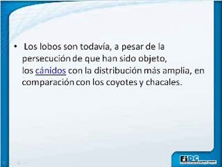 Ejercitacion Conceptual 4