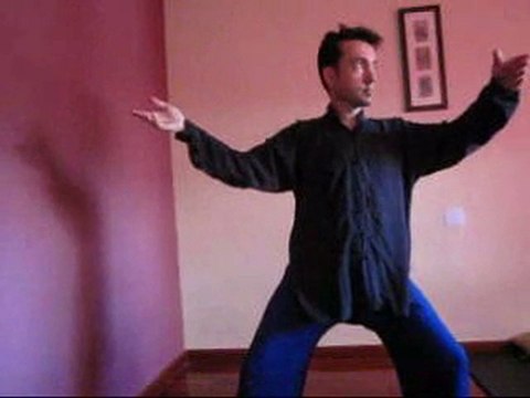 Taichi chuan taiji taichi yang