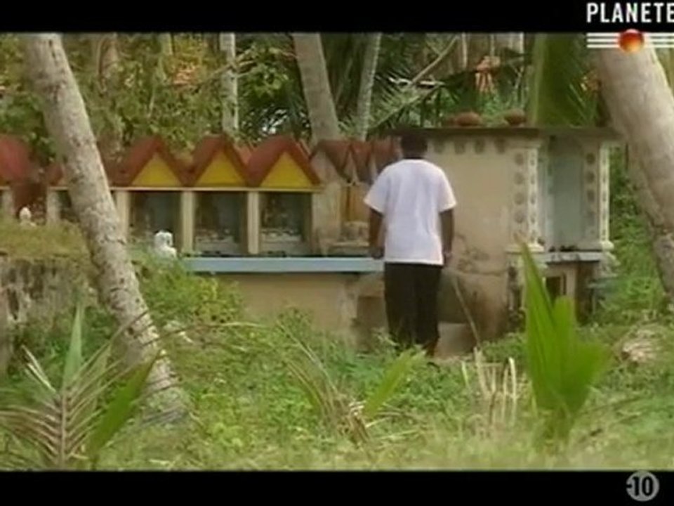 Tsunami, une catastrophe sans précédent part 6