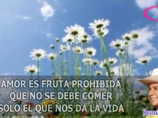 Reynaldo Armas - El Amor más Grande - Karaoke