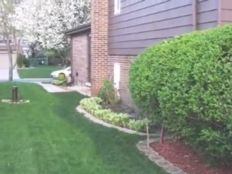 Homes for Sale - 1218 S Douglas Ave - Arlington Heights, IL