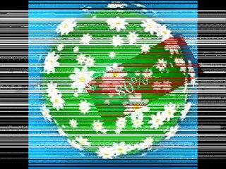 Save Money On Power Bills Video