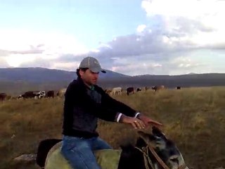 eşşeğe nasıl binilir ? eşşekten nasıl düşülür :))