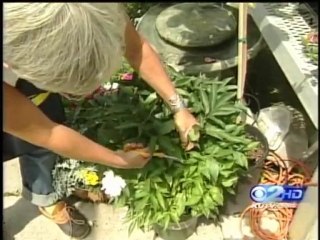 Eye Injury Prevention Utah – The Eye Institute