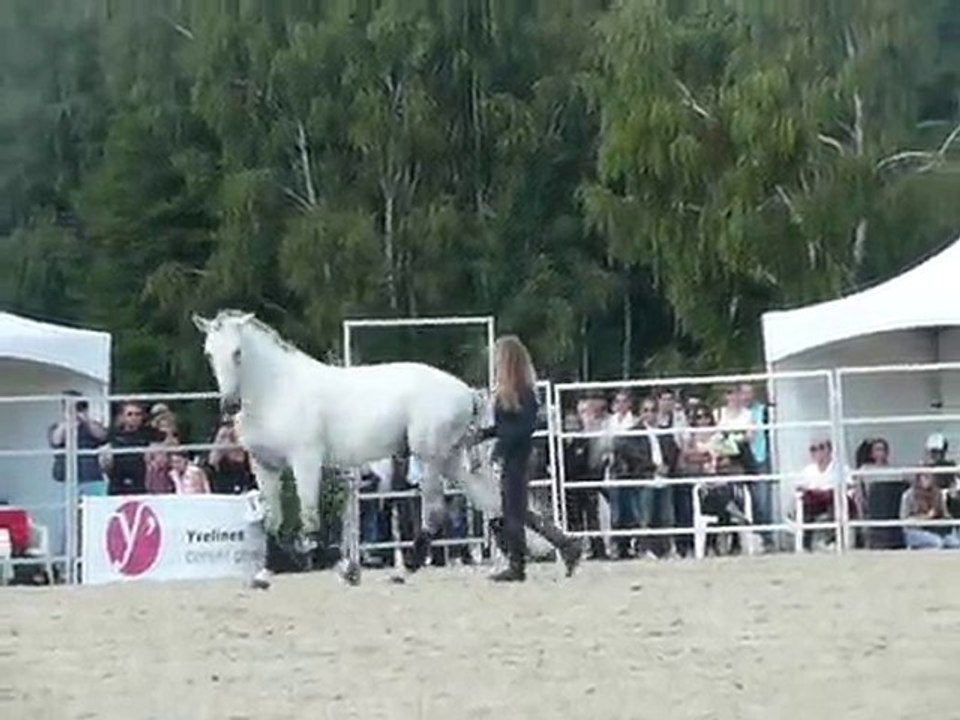 Magda et Tutcho - 11èmes RDV éthologiques à La Cense