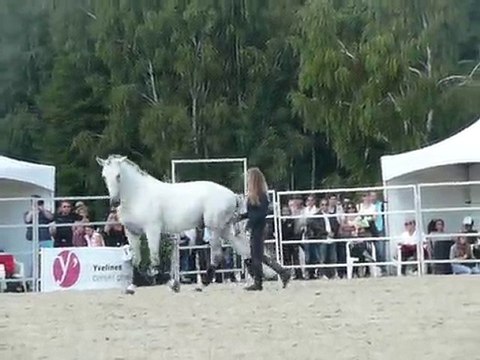 Magda et Tutcho - 11èmes RDV éthologiques à La Cense