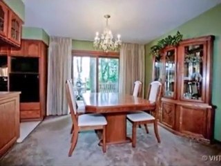 Homes for Sale - 209 55th St - Downers Grove, IL 60515 - Col