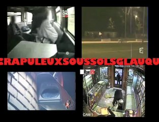 Modeste contribution vidéo1