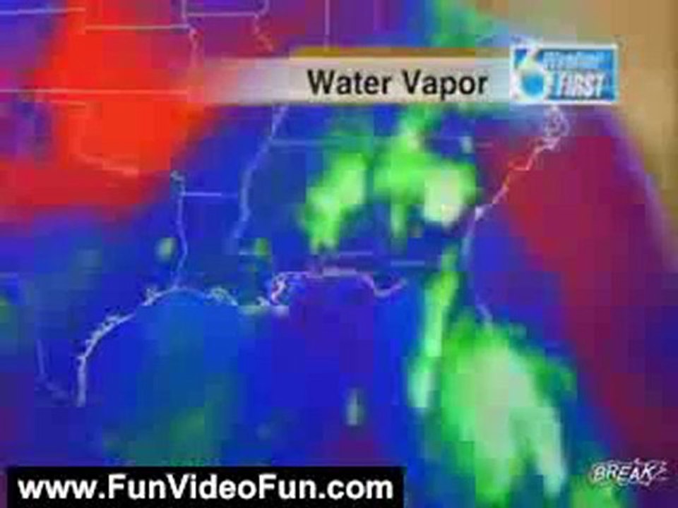 Funny Videos: Weather Man Scared Of Cockroach