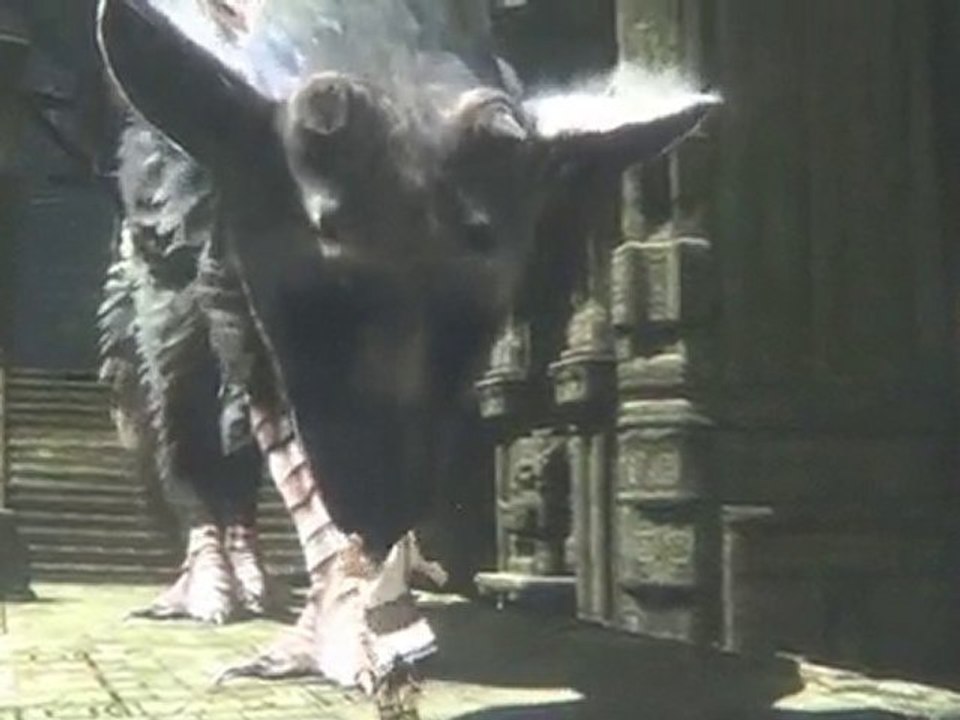 The Last Guardian TGS 2010 Trailer