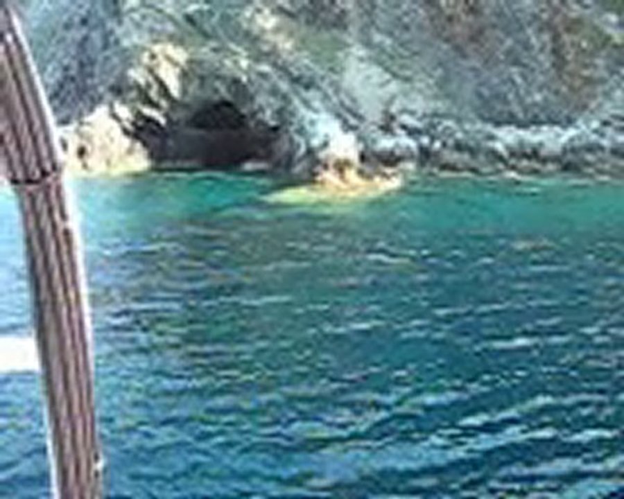 cap agnelo