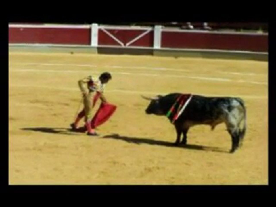 Raul Velasco toreando a Soria, Faena 1 (2009)