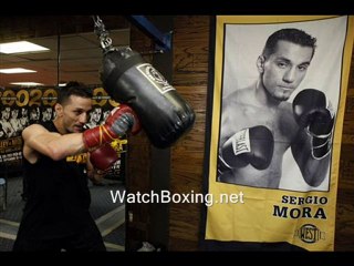 watch Shane Mosley vs Sergio Mora Jr full fight pay per view